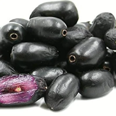 Black Jamun Black Jamun