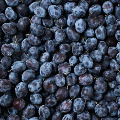 Black Plum Black Plum