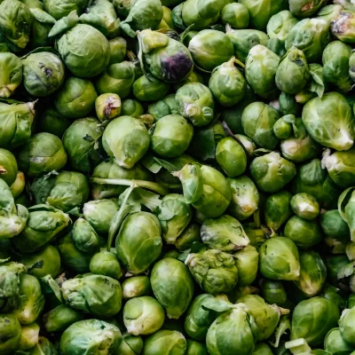 Brussel Sprouts Brussel Sprouts