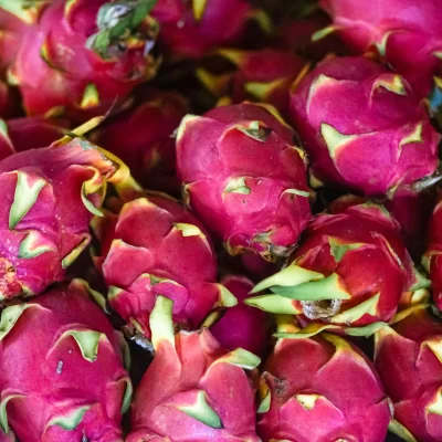 Dragon fruit Dragon fruit