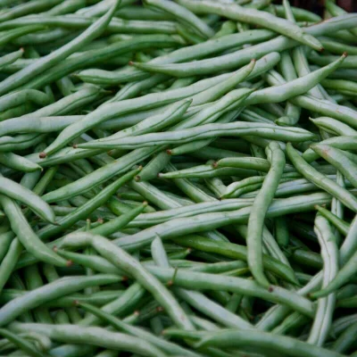 Green Beans Green Beans