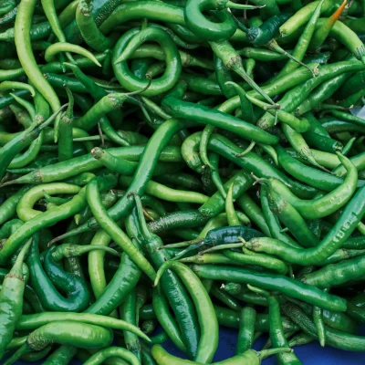 Green Chilli Green Chilli