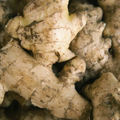 Mango Ginger Mango Ginger