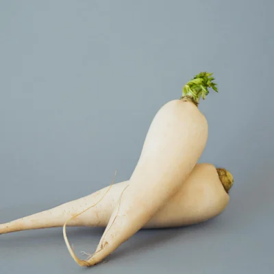 Radish Radish