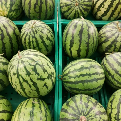 Water melon Water melon